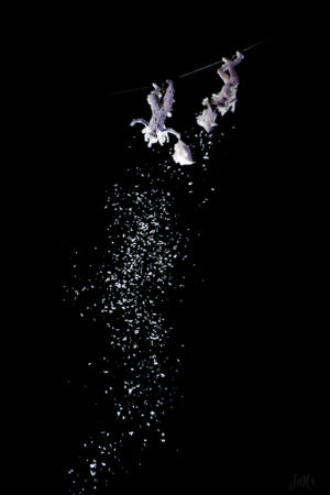 Neige d'anges